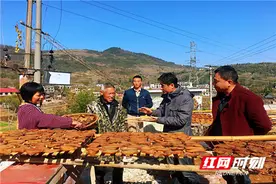 湖南省审计厅扶贫队：产业扶贫拔穷根，和谐村里真和谐图片