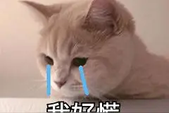 激动！查到高考分数的瞬间，他们的反应太太太真实了……图片