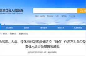黑龙江3市处理发挥疫情防控“哨点”作用不力单位和责任人图片