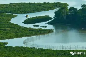 北仑河，一江春水向东流图片