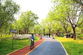 能喝水，会呼吸，青州建成海绵城市近20平方公里图片