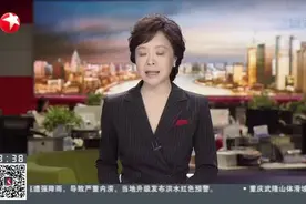 外资吸引力度不减  达索系统亚太总部将迁入上海视频封面