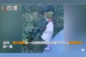 萌娃自制苍耳子皇冠，戴上容易摘下难 网友：欲戴皇冠必承其刺图片