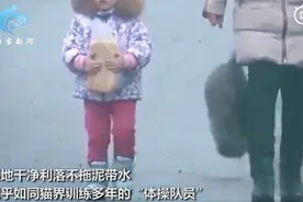 胖猫走路突然“起飞”360度空翻，网友看呆直呼“老忍者”图片
