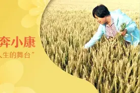 和她一起奔小康 | “田间地头是我人生的舞台”图片