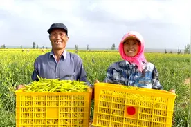 我国最大易地生态移民安置区的脱贫密码视频封面