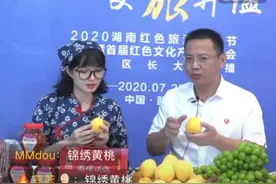 6位县市区长大联播湘潭首届红博会 73万拼多多网友抢购图片