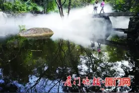 厦门出现气象特旱：公园装雾喷喷头补水 农田一天要喷淋4次图片