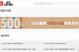 拼多多、传音首次上榜财富中国500强，除银行保险这三家最赚钱图片