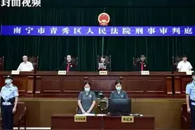 最高获刑25年 广西南宁“府城帮”重大涉黑团伙案宣判图片