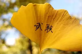 武汉职业技术学院2020年湖北省高职高专提前批招生专业介绍图片