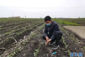 习近平总书记关切事丨让百姓吃得饱还要吃得好图片