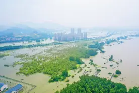 全力排涝！巢湖三水厂、环湖大道龟山段脱险图片