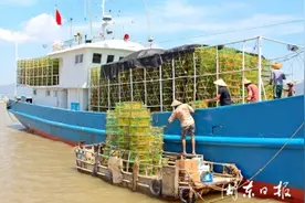 宁德霞浦：备好渔具迎开渔图片