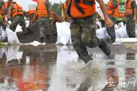 千人奋战 加固环巢湖防浪堤图片