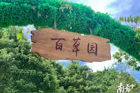珠海这间校园百草园，比鲁迅笔下的景致还要美图片