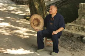 “木虫”钻进互联网图片