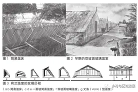 荷兰温室百年发展历程及对我国的启示图片