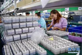 陕南地区多措并举助农增收图片