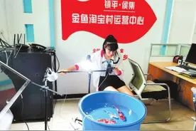 南阳：“村播达人”催生就业新生态图片