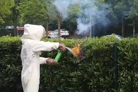 一个月发现近800处，有的比脸盆还大！杭州消防员叹气：实在太多了图片