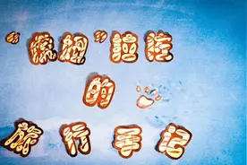 一只俄罗斯东北虎的中国旅游日记视频封面