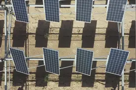 宁夏：光伏板下种枸杞 昔日荒滩披绿衣视频封面