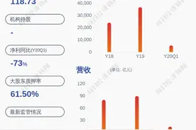 好消息！南都电源：2020年半年度净利润约3.03亿元，同比增加20.43%图片