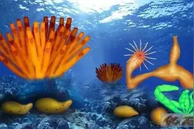 盘点中国著名的古生物化石群图片