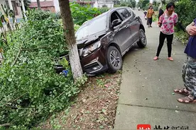 吓坏了！一只猫窜上路，女子操作不当撞上树图片