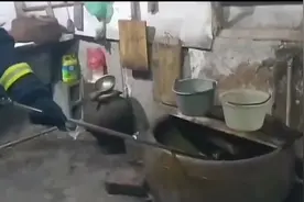 我家水缸里有条眼镜蛇在洗澡，看到没有，它正在里面欢快扑腾呢图片
