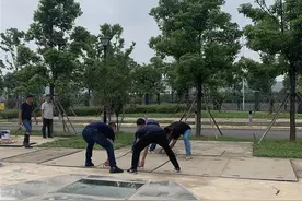 光谷金融港挺过今年“暴力梅”：这个老渍水点是怎么消失的？图片