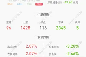 下滑！中工国际：2020年半年度净利润约8200万元，同比下降83.59%图片