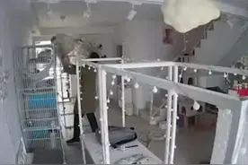 猫咖店曝光男子半年前虐猫视频 虐猫男子回应：自己确实不对，当天已道歉并提出赔偿图片