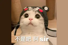 冒暴雨“强行”送伞被误解，环卫工却只关心伞用上没有图片