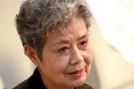 中国荧屏第一人沈力：没有观众，没我图片