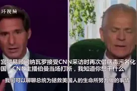 纳瓦罗连线中又提“中国病毒”，CNN主播当场打断并斥责图片