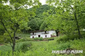 镇坪男子留守大山照顾年迈多病父母养蜂种地过简单生活图片