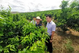 富滇银行多举措做好“六稳”“六保”资产总额达2815亿元图片