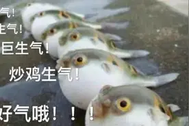 广州小伙打个哈欠，肺竟然“炸了”，身体一半血都流光…图片