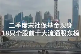 中国财富报道｜国家队重仓股曝光！社保、养老金选中了谁？视频封面
