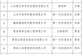 50家！山东首批科创板上市培育库入库企业公布图片