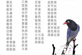 枸杞，你吃对了吗图片