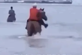 第三匹“救命恩马”也病了！马主：不需要赔偿，想对大家说抱歉图片