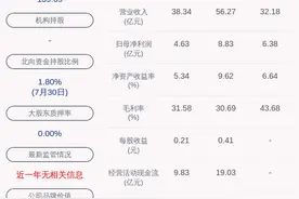 亮眼！宝新能源：2020年半年度净利润约6.38亿元，同比增加101.35%图片