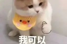 速看！东莞多个公办中小学、幼儿园、事业单位招人图片