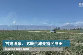 甘肃酒泉：戈壁荒滩变富民瓜田视频封面