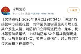 龙华区星河丹提小区突发火情 火势已被扑灭 暂无人员伤亡图片