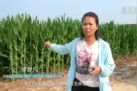 90后“宝妈”变身植保女飞手视频封面