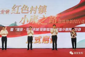 江苏淮安“红色村镇”的小康之路：八仙过海，各显成效图片